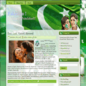 Pakistan web designs 
